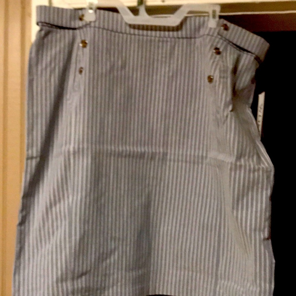 Brand new with tags Blue/white stripe skirt